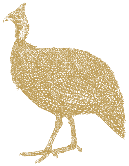 Pärlhöna