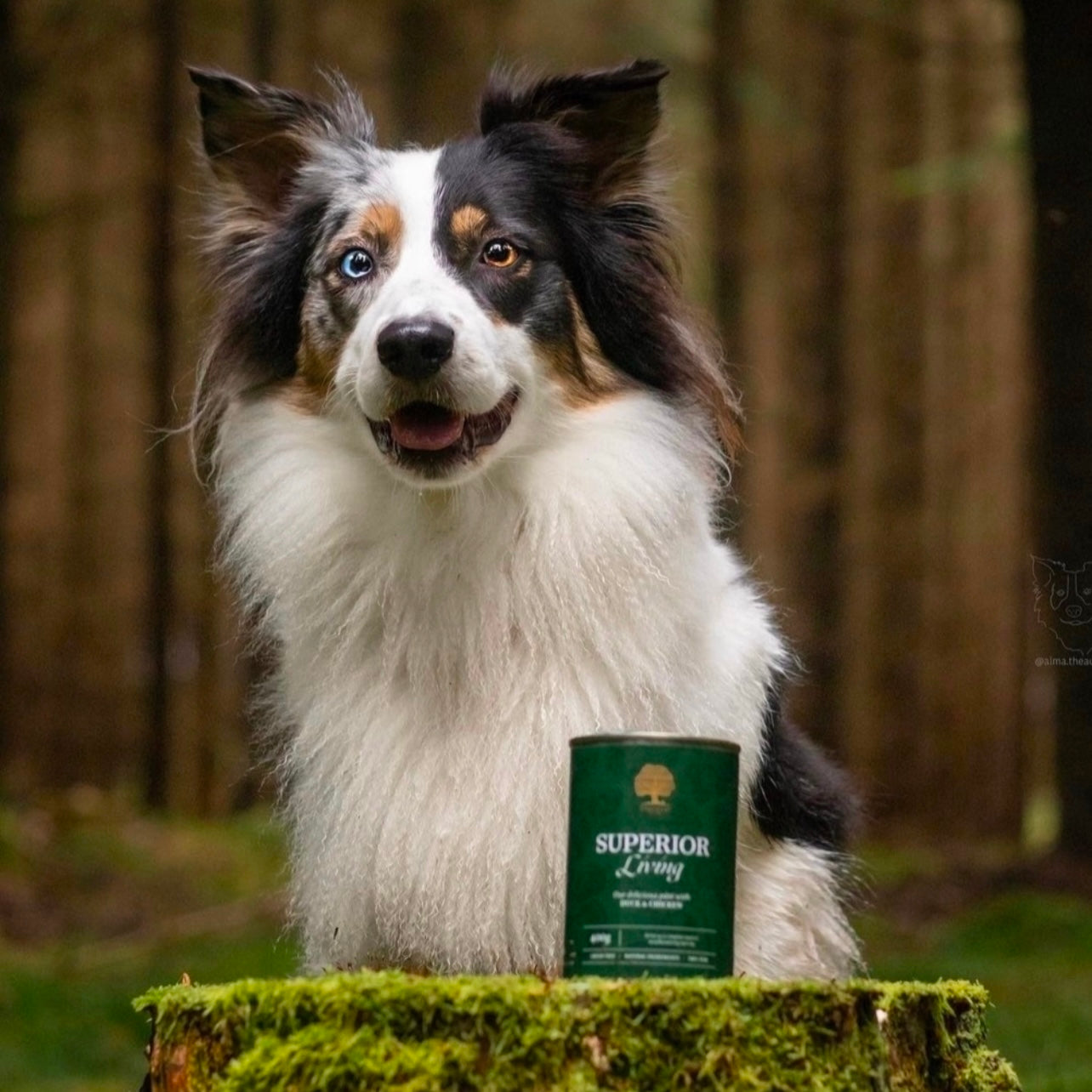 SUPERIOR LIVING PÂTÉ, 400G