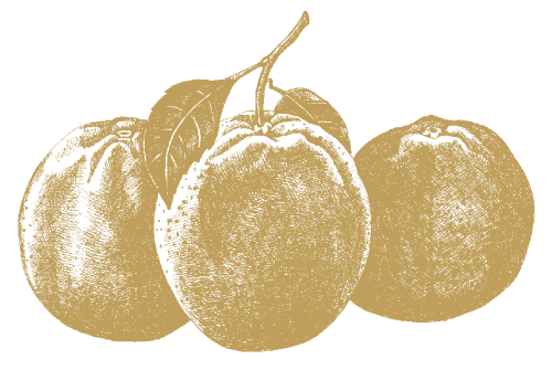 Apelsin