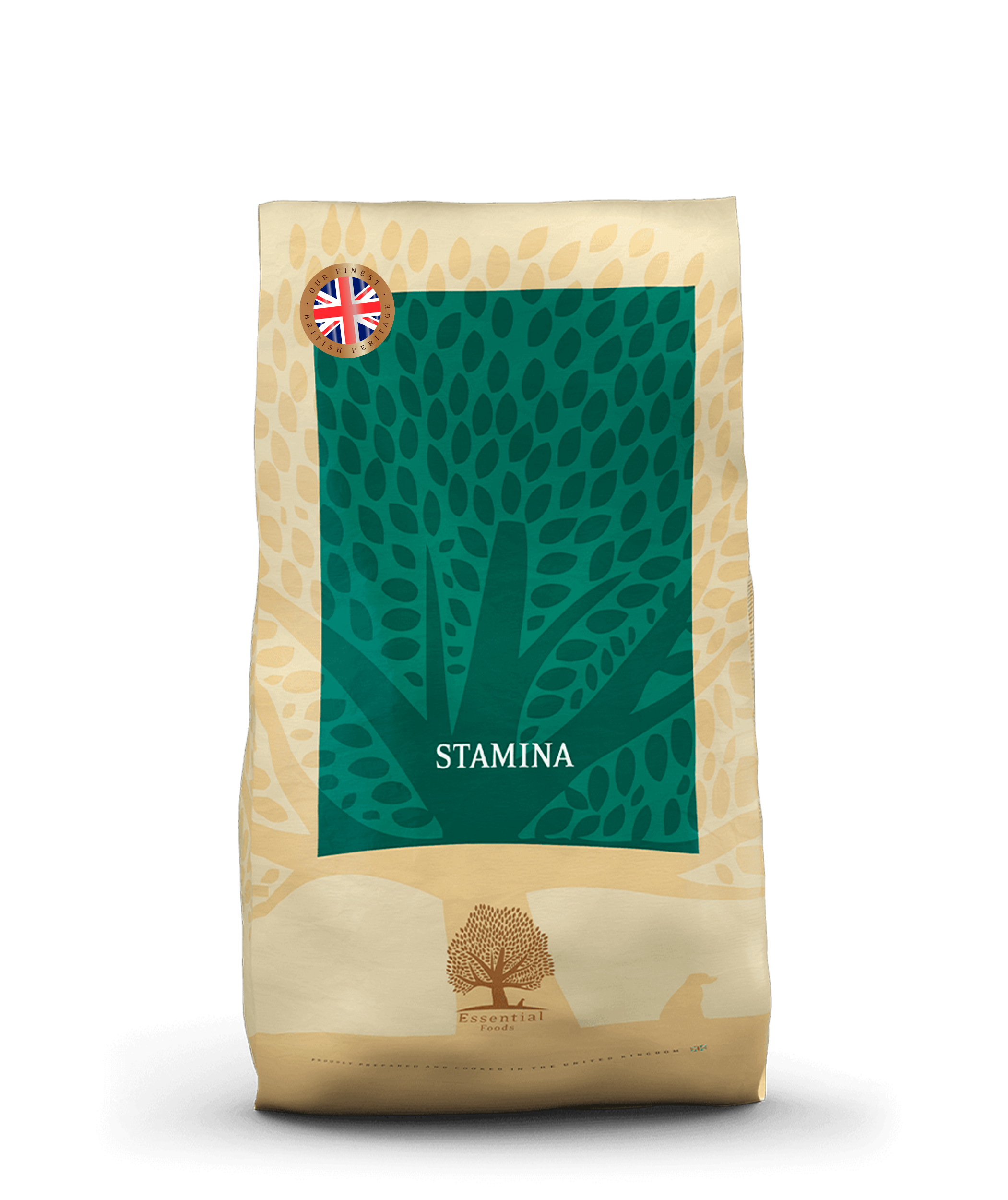 Nudizm, naturizm va erotik porno videolar Porno blowjob qusadi