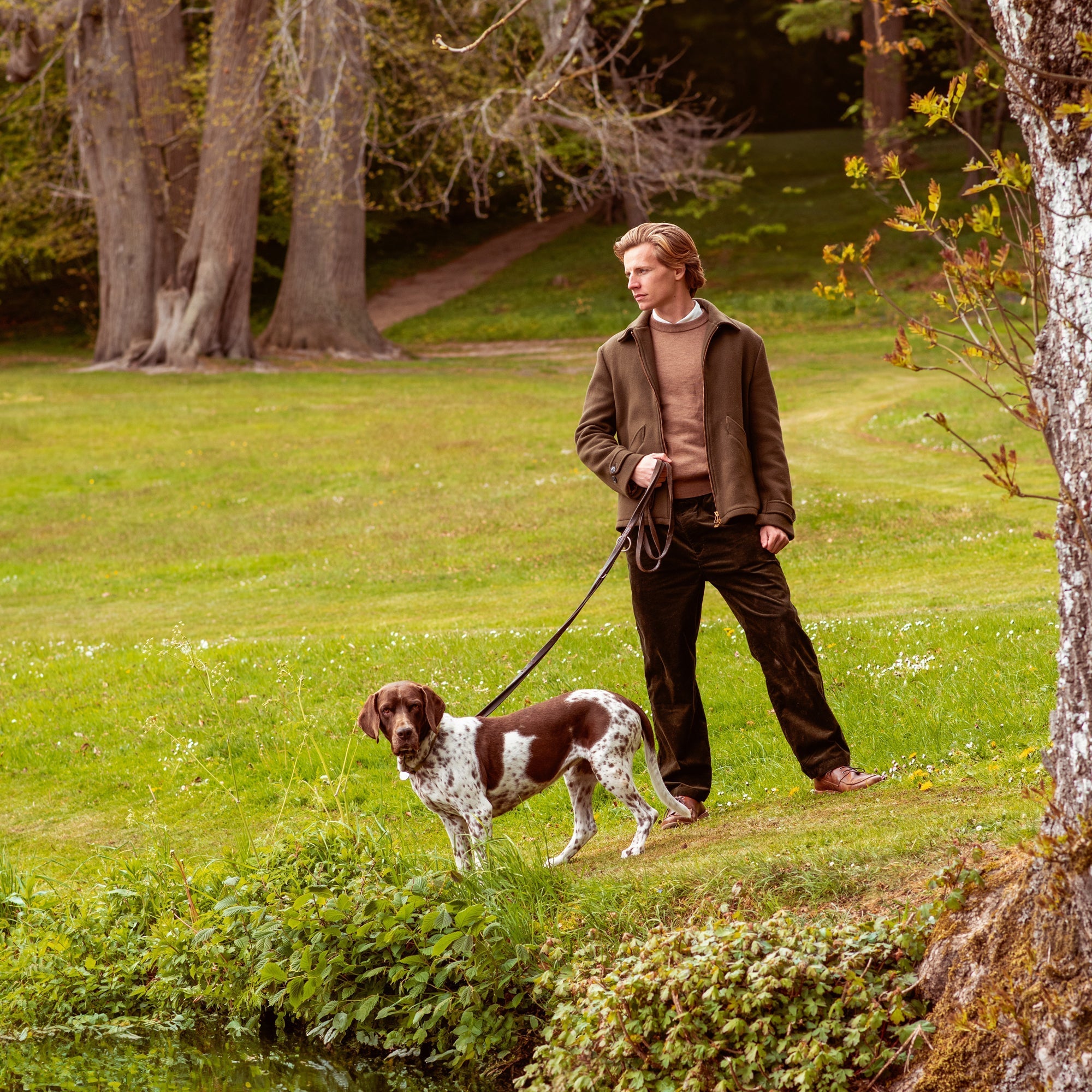 Should dogs be kept on a lead? Here's how to do it right