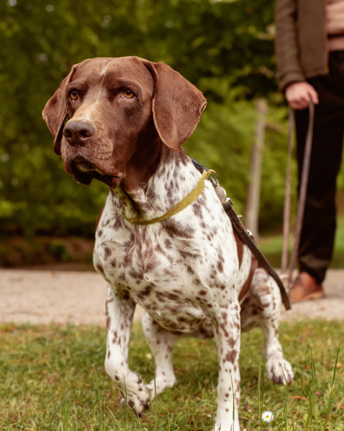 How long can a dog hold it?