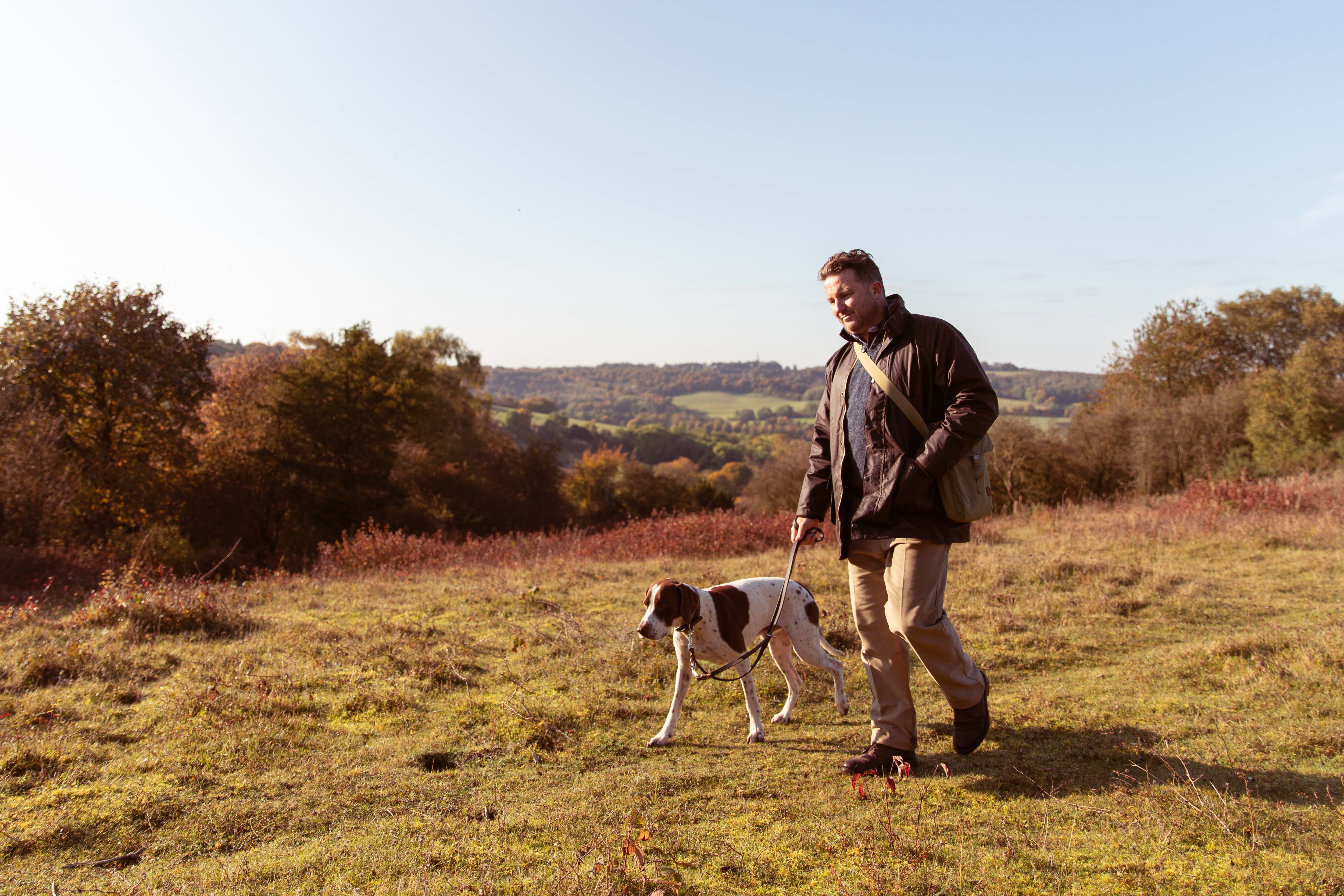 Best Dog Food for Sensitive Stomachs - Avoid Common Mistakes