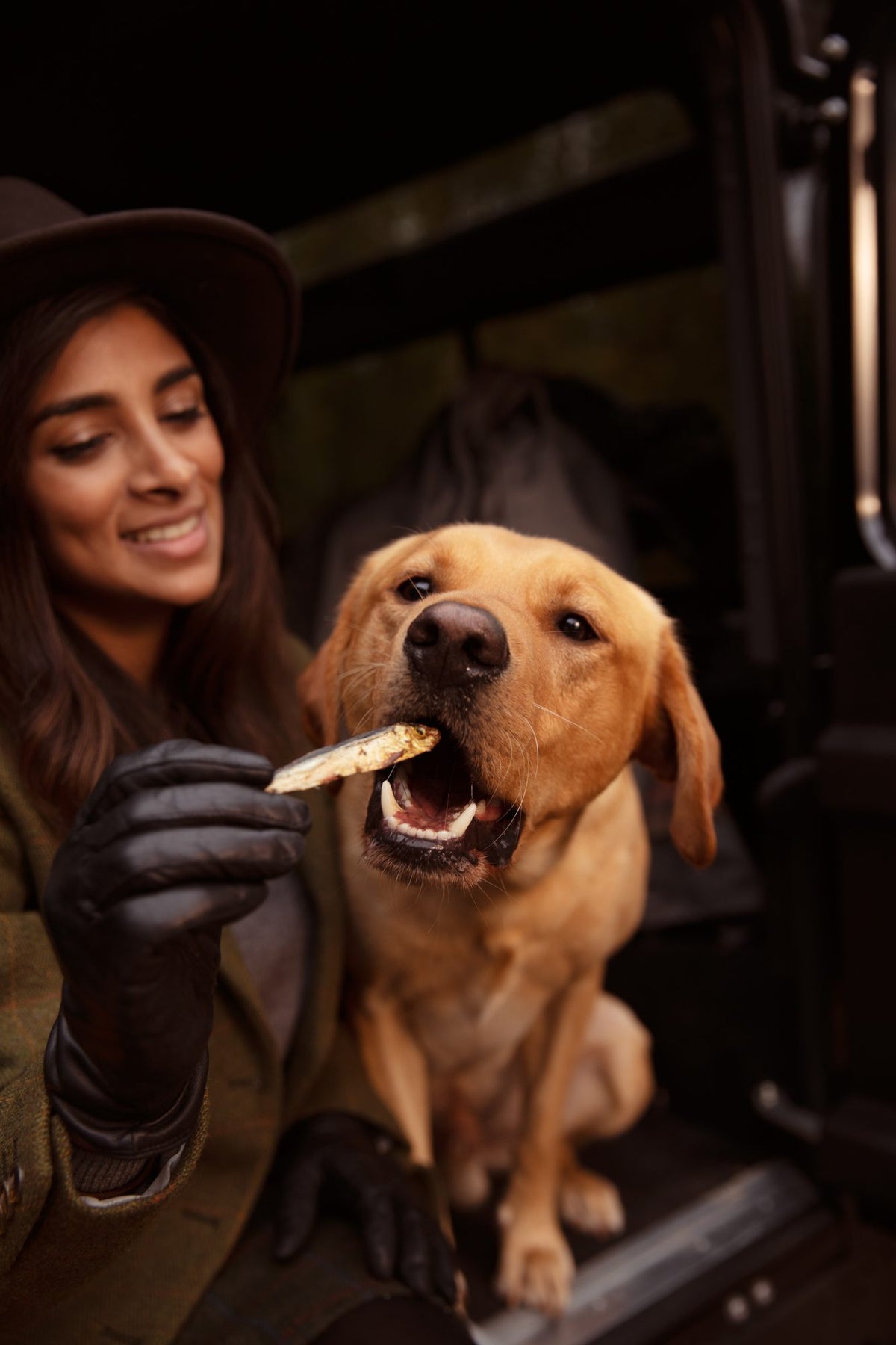 What can dogs eat?