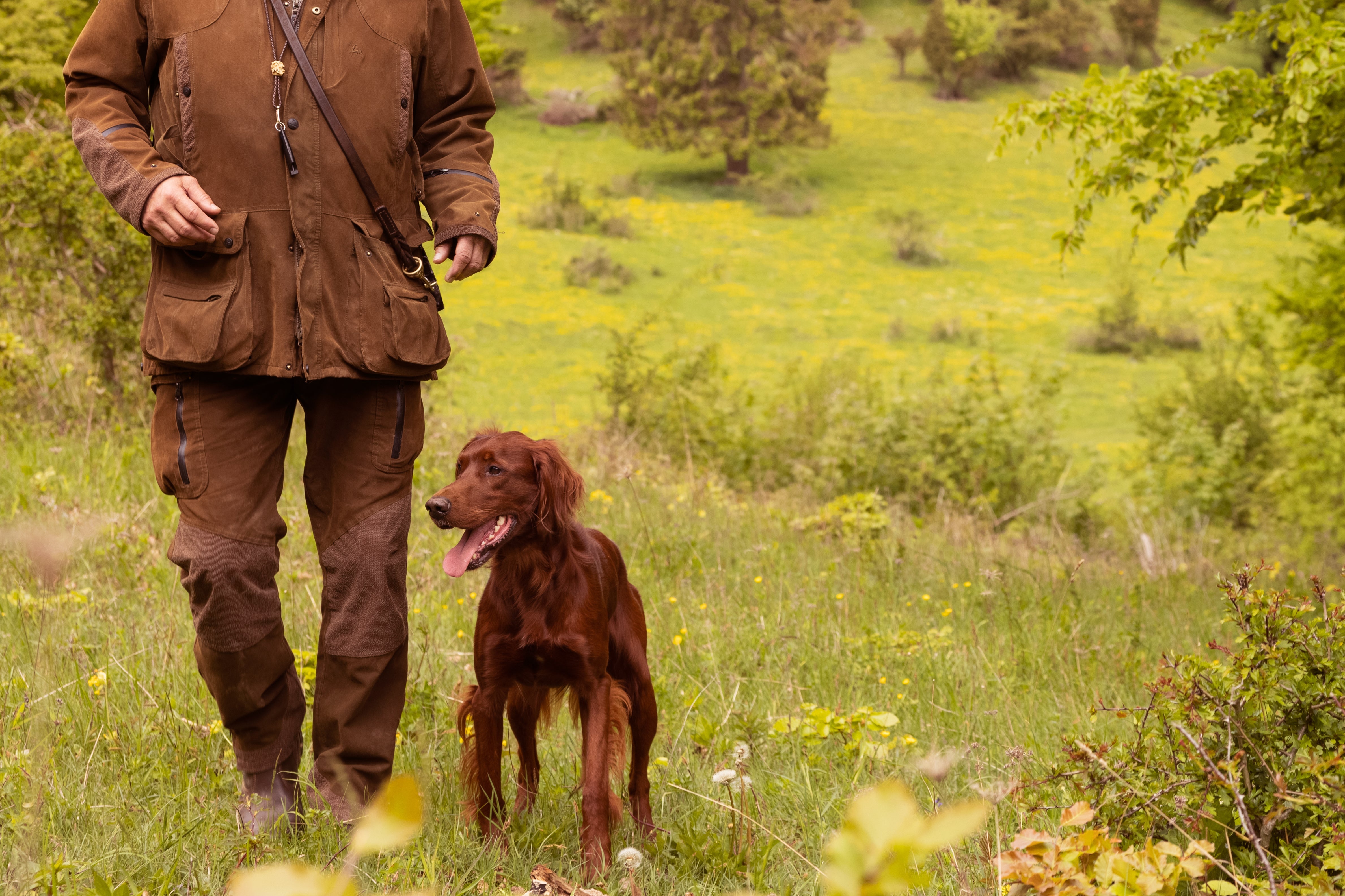Choose the best dog food for puppies – start right from day one