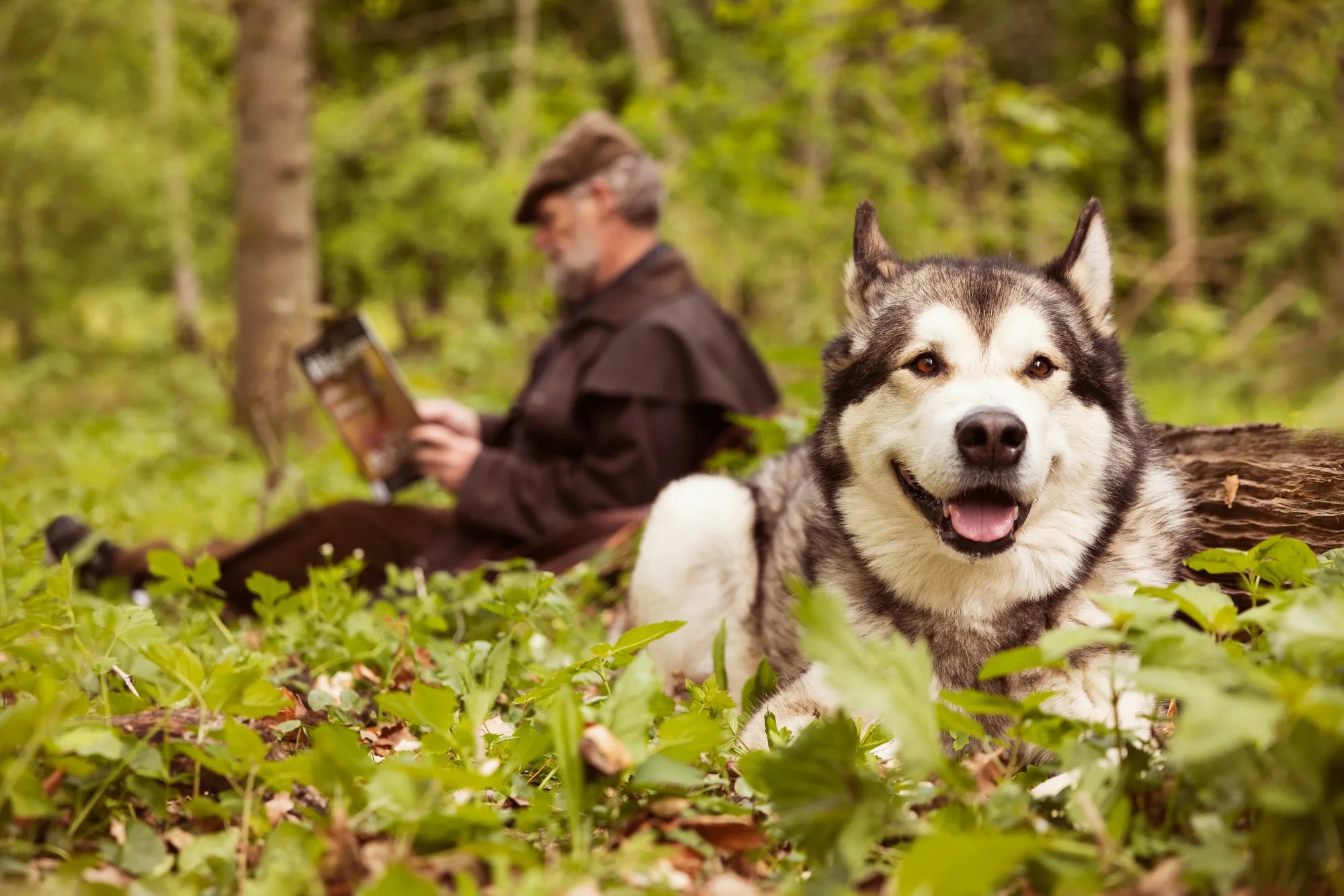 Hvor meget hundefoder skal min hund have?