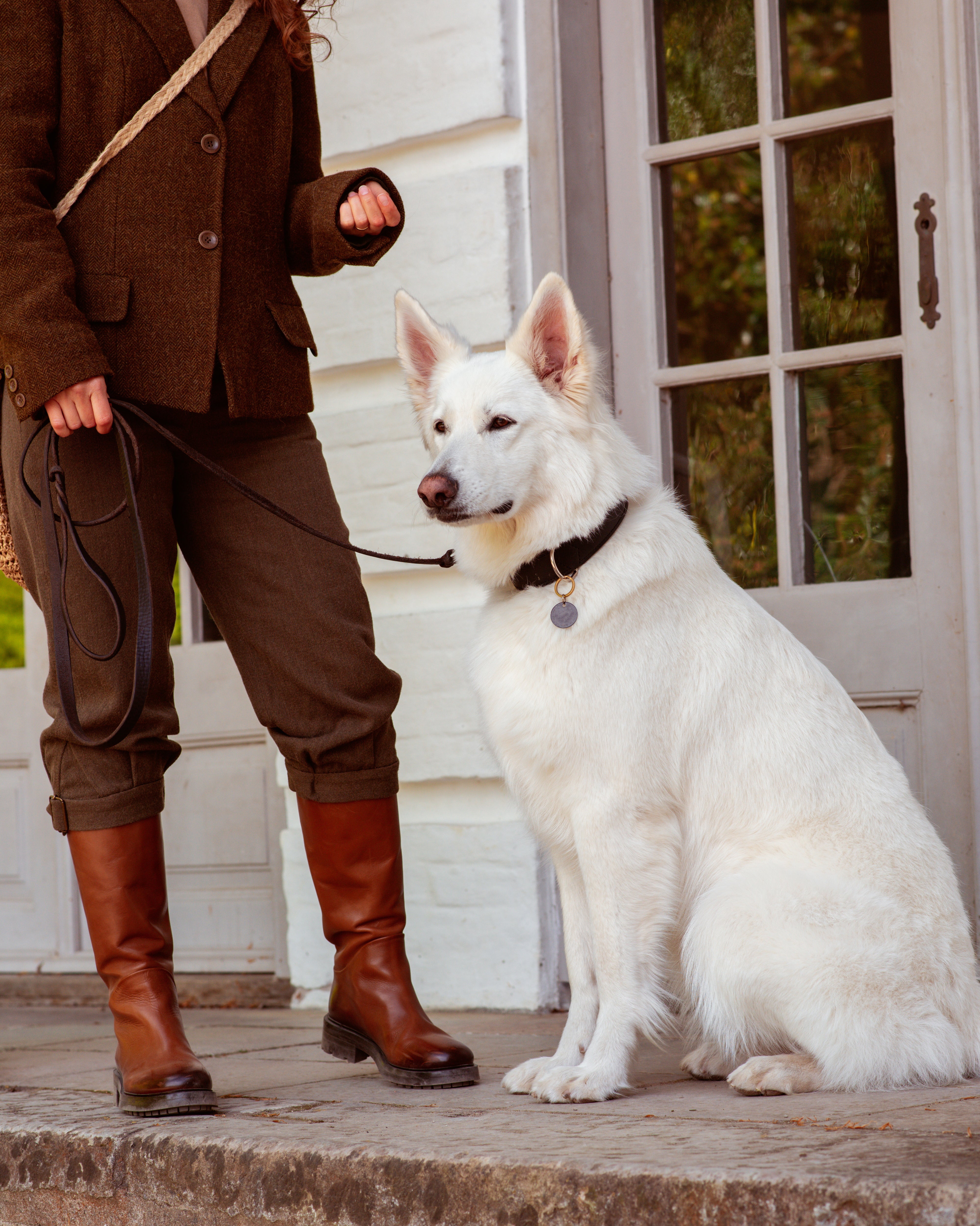 How much should a dog eat - avoid the typical feeding mistakes