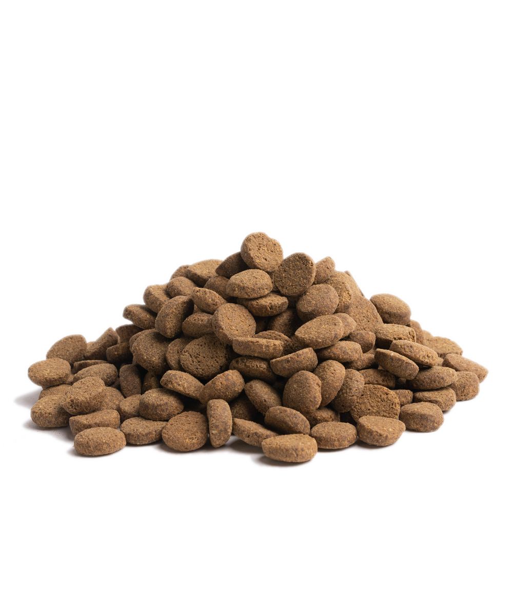 OLDER, 10KG x 2