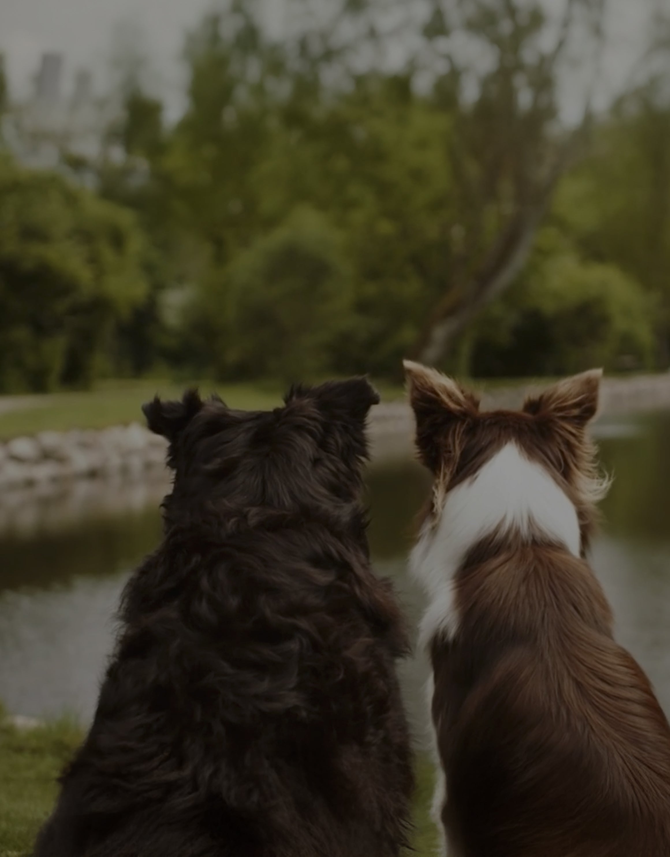 Essentials Rekommedationprogram