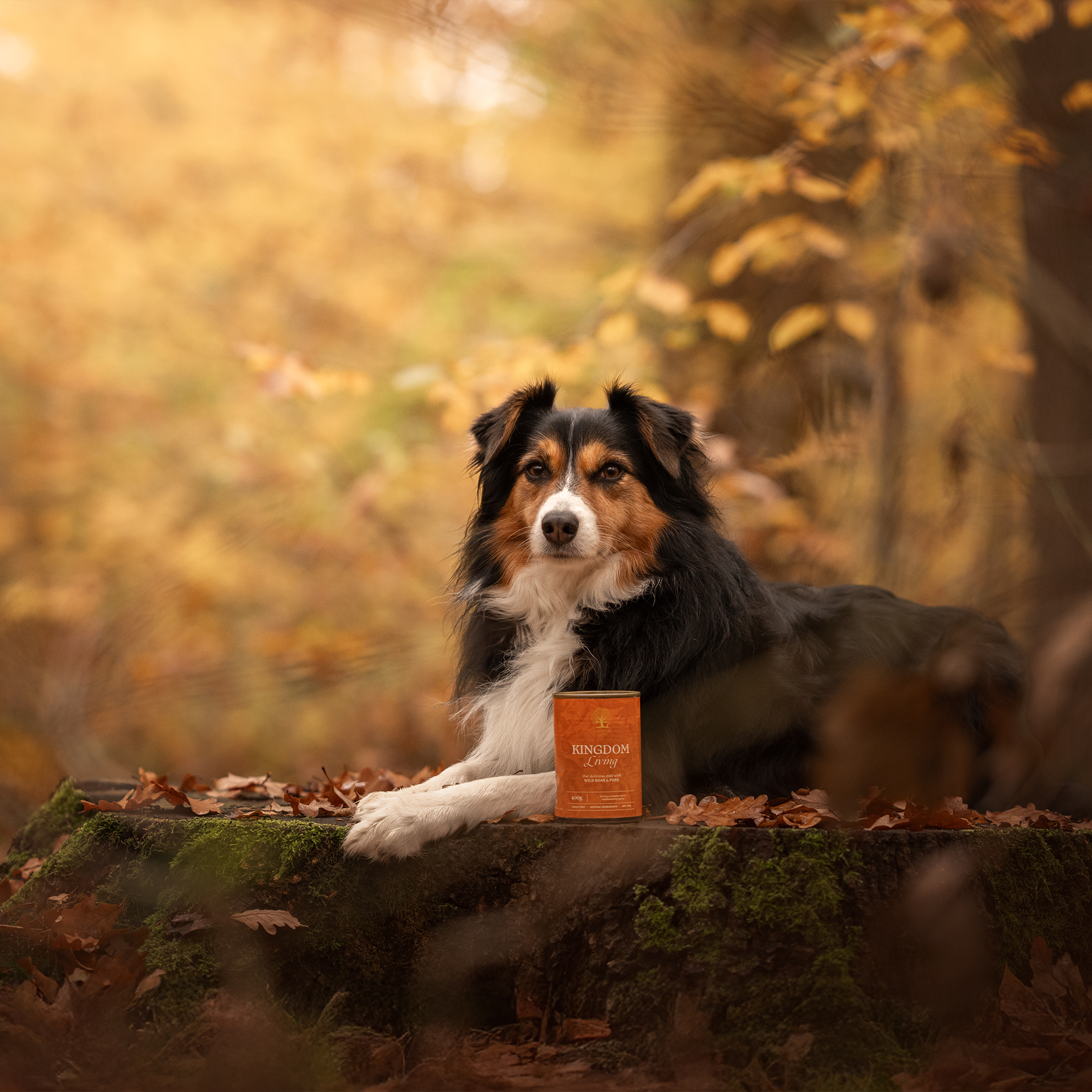 KINGDOM LIVING PÂTÉ, 400G