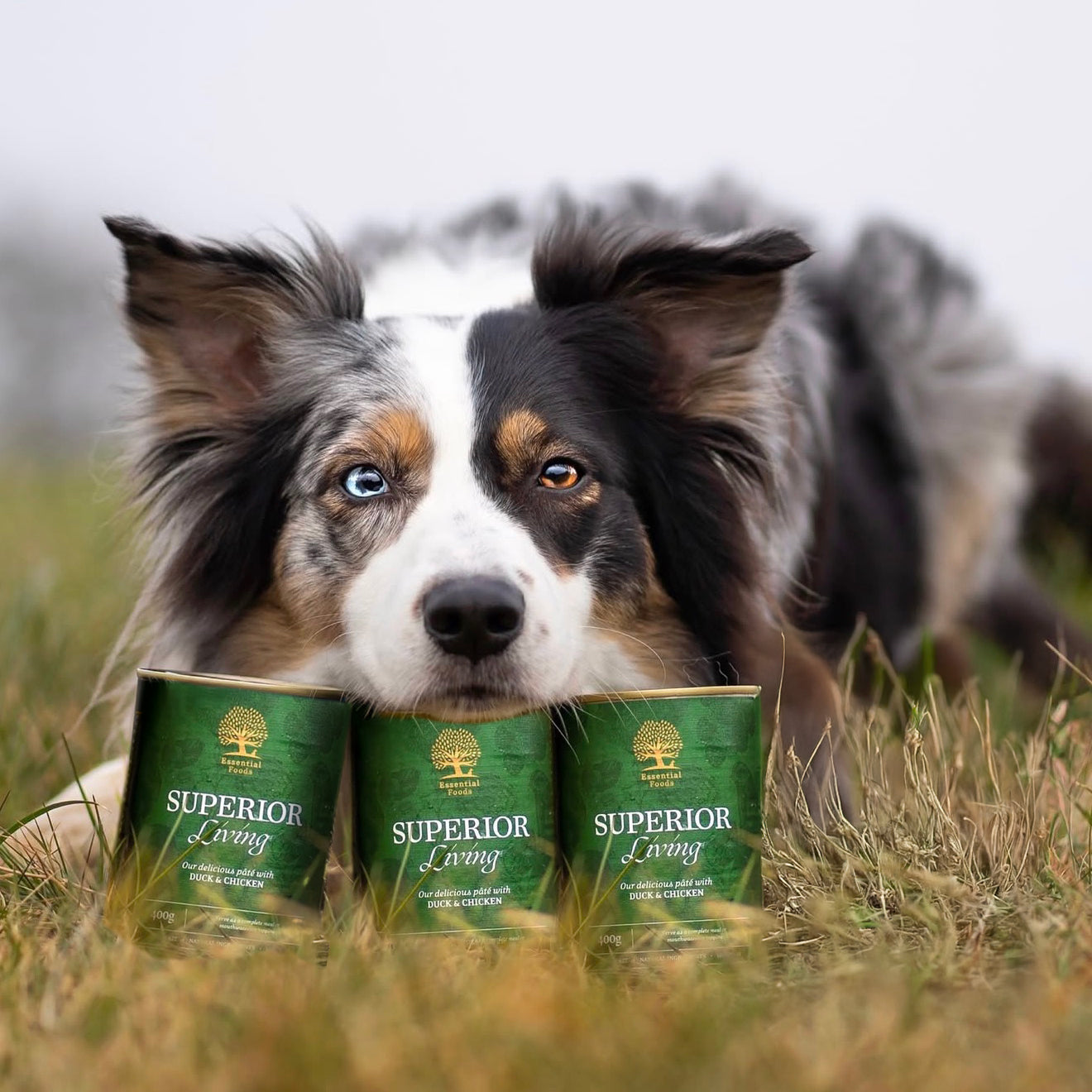 SUPERIOR LIVING PÁTÈ, 400G x 6