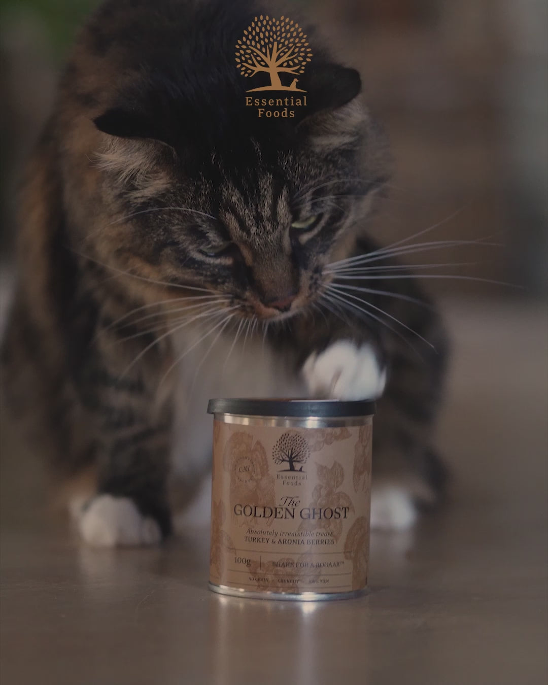 THE SILENT SHADOW x 3